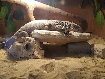 Photos of Zoo