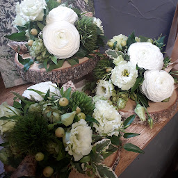 Photo n°53 de Salicorne à Bréhal (Fleuriste)