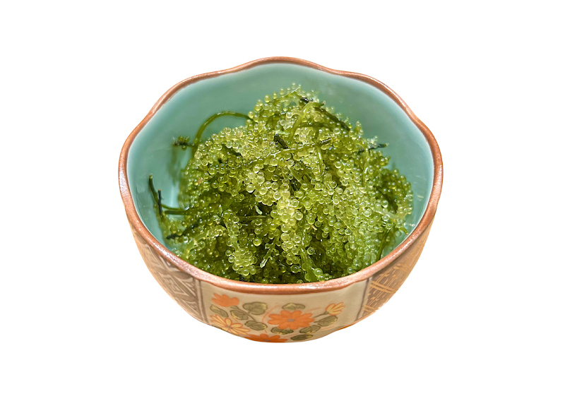 大衆酒場 たけし写真館