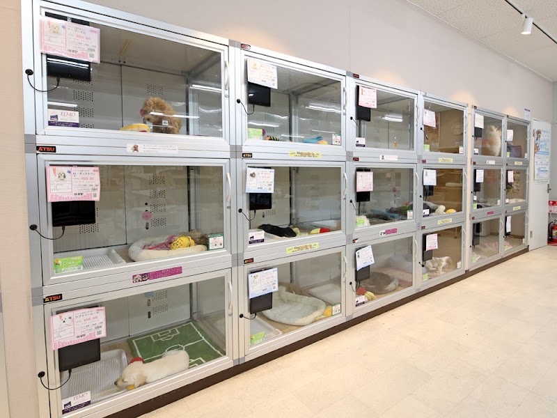 ペットショップCoo&RIKU 名古屋みなと店