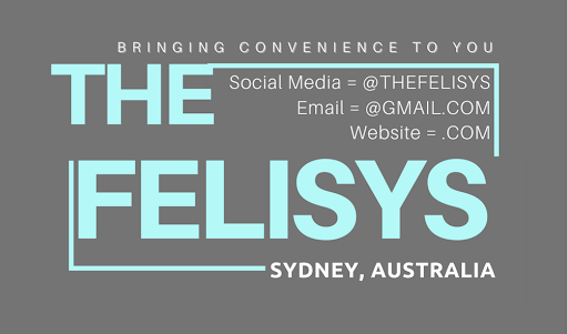 The FeliSYS