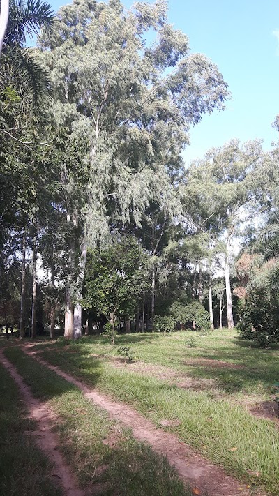 Photos of LECHERIA DON PEDRO