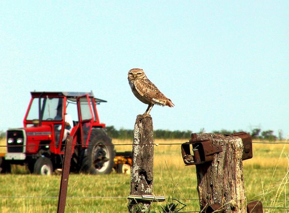 Estancia El Ombú de Areco