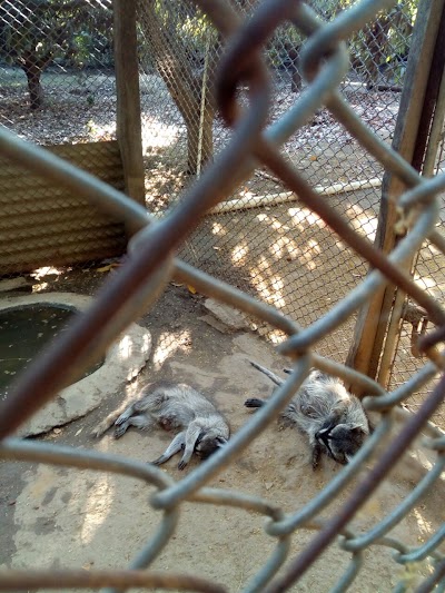 Photos of Private Zoo East.