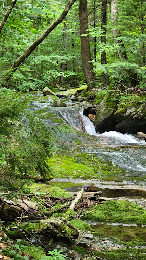 Chittenden Brook Campground - Thumbnail
