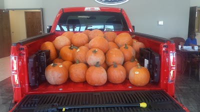Photos of Santee Automotive