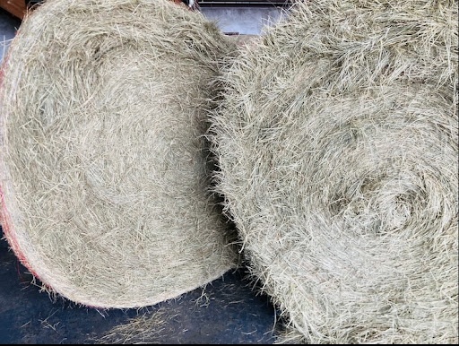 Waycross Hay & Feed - Thumbnail