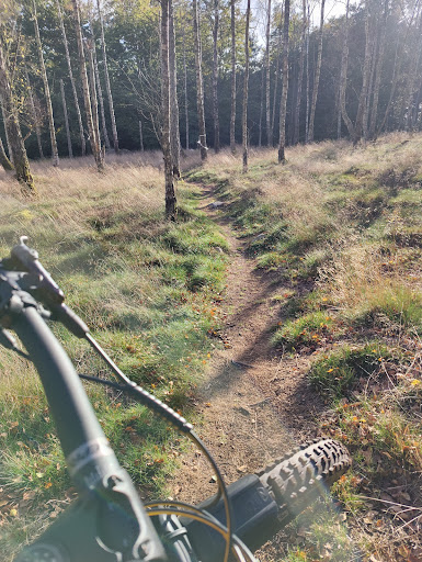 Sölvesborgs Flowtrail - Visual