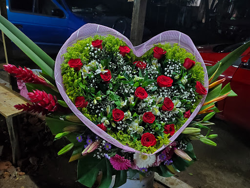 Floristería Mael - Thumbnail