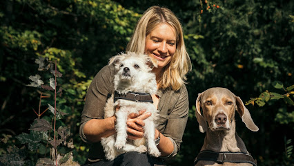 Hundeschule animalcoach.ch Zürich