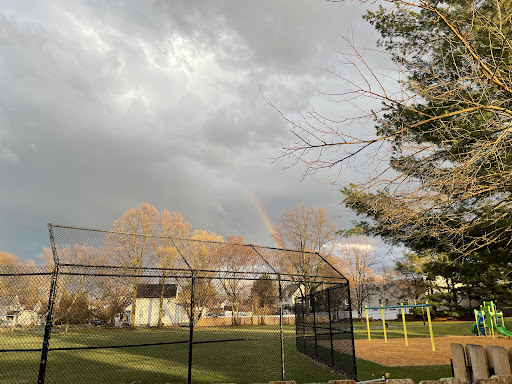 Morley Park - Visual