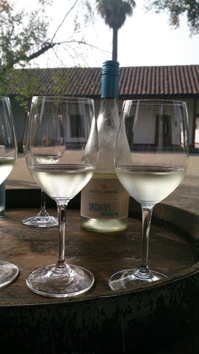 Photos of Vina Santa Carolina