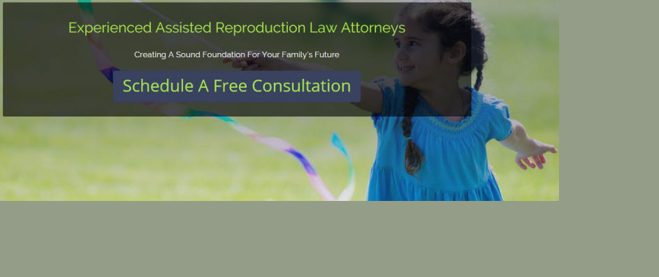 Steven H Snyder And Associates