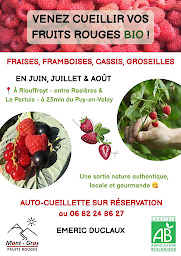 Photo n°11 de Mont-Gros Fruits Rouges - Emeric Duclaux à Le Pertuis (Ferme)
