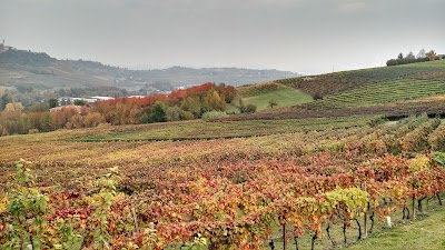 Alimentari Masola Maria Grazia