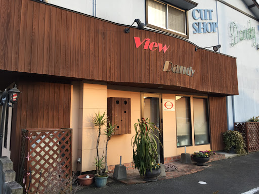 びゅー＆だんでぃへあー