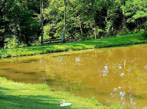 Bud Billiard Disc Golf Course - Thumbnail