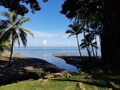 Photos of The Whale Resort