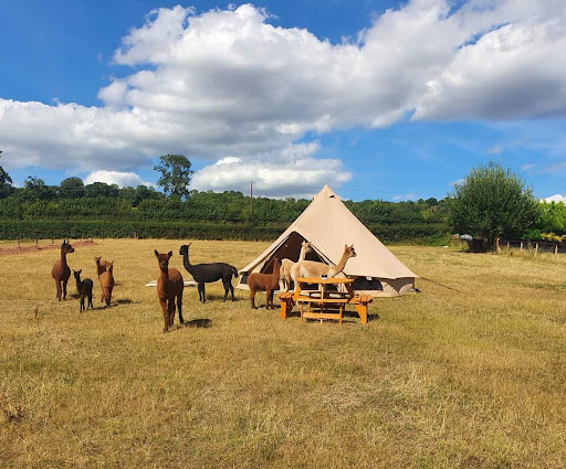 Cwtch Glamping - Visual
