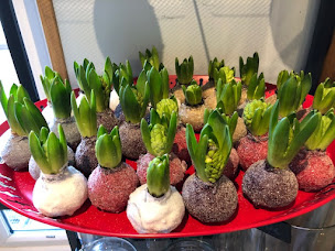 Photo n°9 de Ferme Fleurie SCEA à Tarascon (Magasin de produits de la ferme)