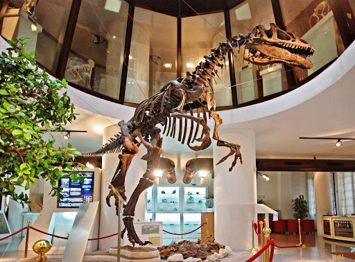 University Museum of Chieti