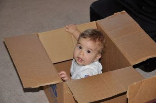 Pflugerville Pro Movers - Visual