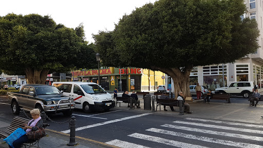 Bingo La Palma - Thumbnail