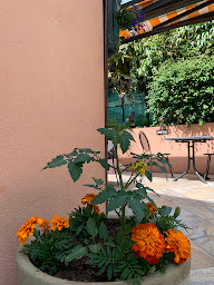 Photo n°17 de Les Papilles au vert à Ploërmel (Restaurant végétalien)