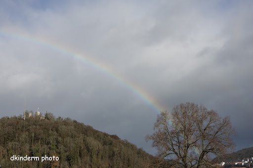 Schlossberg Heiligkreuz Nature Reserve - Thumbnail