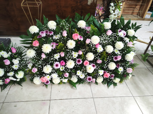 Floresse - Visual