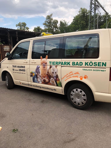 Taxi-Marno - Visual