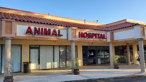 Companion Animal Hospital at Logger's Run