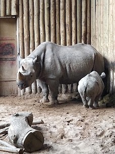 Chester Zoo