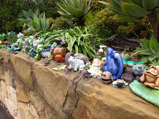 Frog Wall - Visual