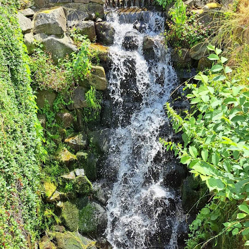 Der Wassergraben - Visual