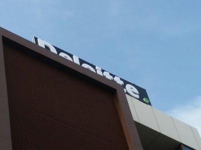 Photos of Deloitte Consulting