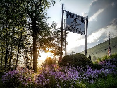 Photos of Pine Creek Outfitters