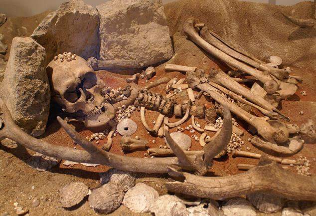 Musee De Prehistoire De Carnac