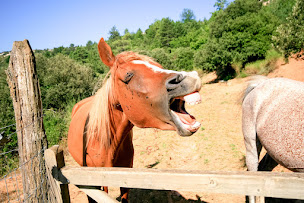 Photo n°3 de Accueil Paysan Occitanie à Limoux (Agence de visites touristiques)