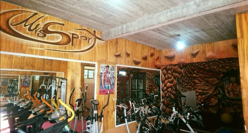 Mnssportgym - Thumbnail