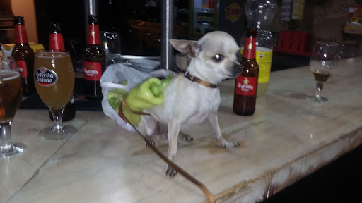 Bar Boira - Thumbnail
