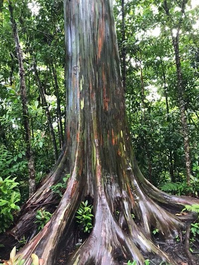 Road To Hana Mile Marker Zero (Route 360)