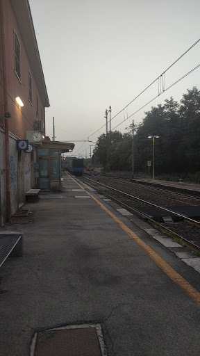 Morolo - Visual