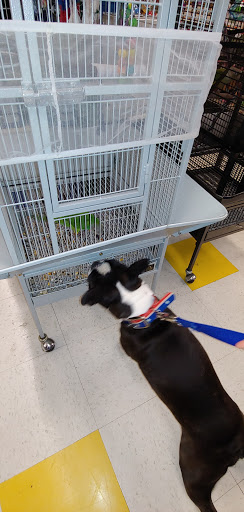 Pet Supplies Plus Easton Gallery - United States