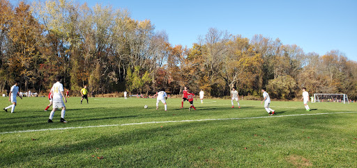 Fairview Fields - Visual