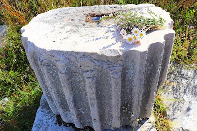 Herdonia Archaeological Excavations