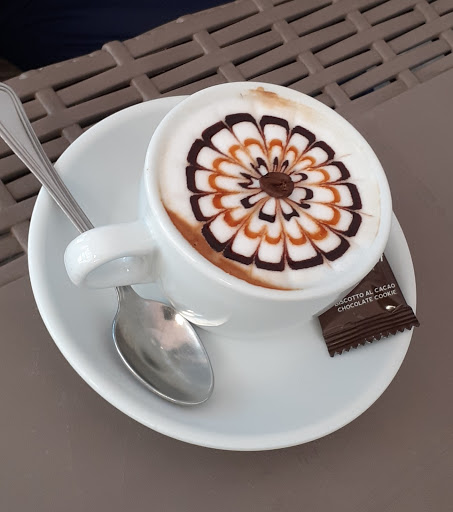 moma café - Visual