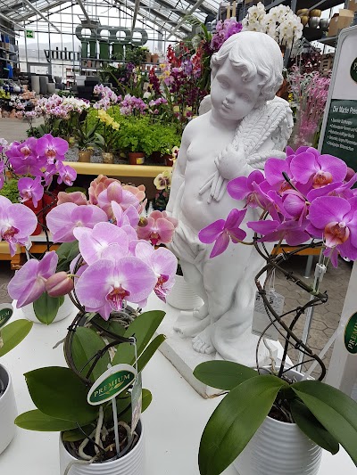 Photos of Seewen Markt