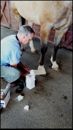 James River Equine Services - 1719 Yorktown DR Charlottesville - Thumbnail