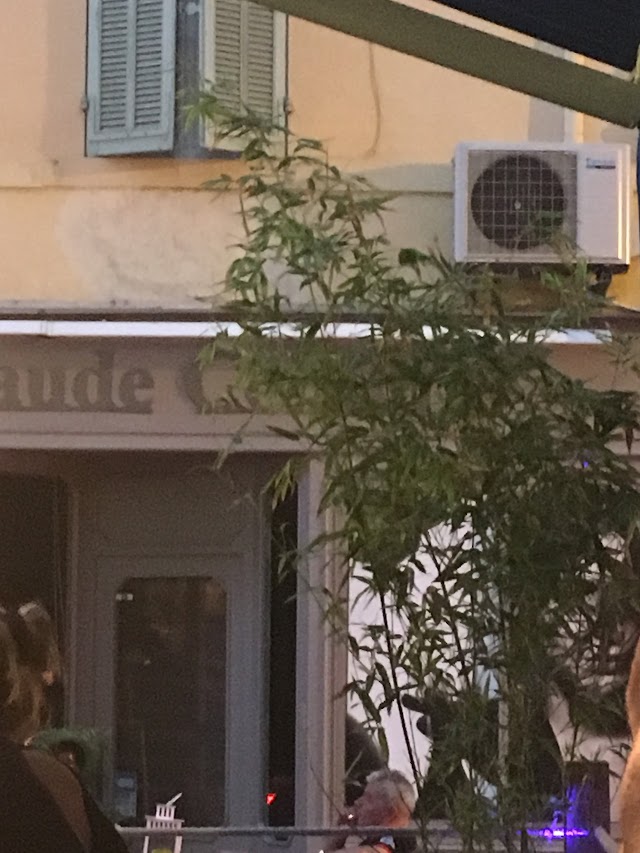 Le Square - Restaurant Bandol